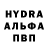 Amphetamine Premium olena veremchuk