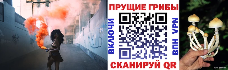 Галлюциногенные грибы GOLDEN TEACHER  сколько стоит  Углегорск 